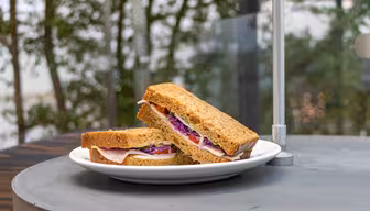 En tallerken med to trekantede sandwich-halvdele på et bord. Sandwichen indeholder kalkun, salat, rødkål og ost mellem skiver af brunt brød. Baggrunden har sløret grønt og en metalstang.