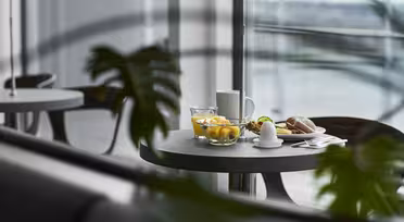 Et bord ved et stort vindue er dækket med en skål frugt, et glas vand, en kop kaffe og en tallerken med en sandwich og kogt æg. Grønne blade indrammer delvist forgrunden med en udendørs udsigt ud over vinduet.